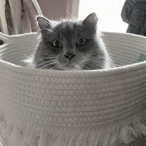 Meet your Posher, Lori